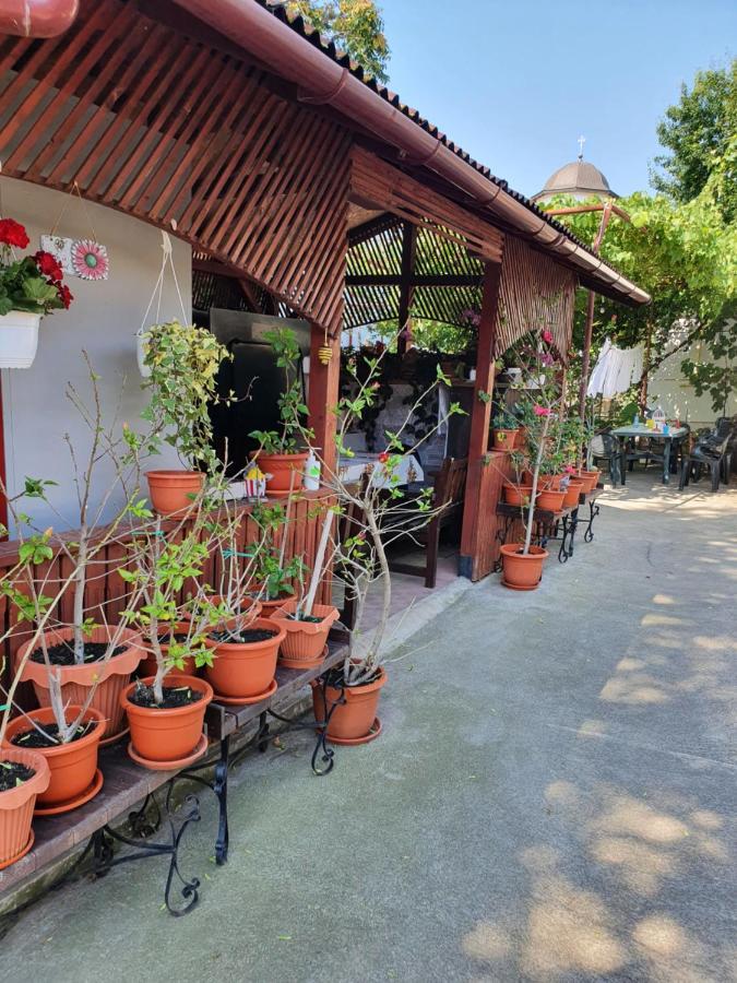 Casa Ghemus Costinesti Ξενοδοχείο Εξωτερικό φωτογραφία